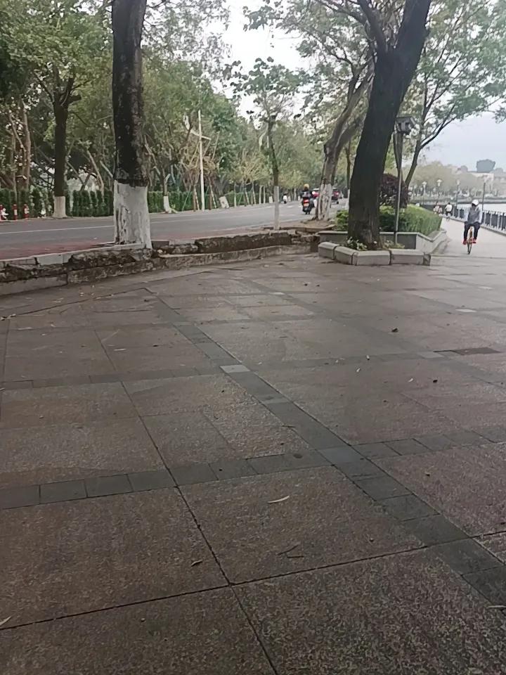 你敢相信吗？今天是清明节这里是肇庆的星湖旁边基本上是车多人少