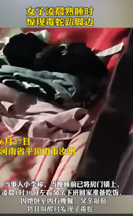 “不幸中的万幸！”河南平顶山，一女子凌晨被父亲敲窗喊醒，起身下床时发现有条1米长