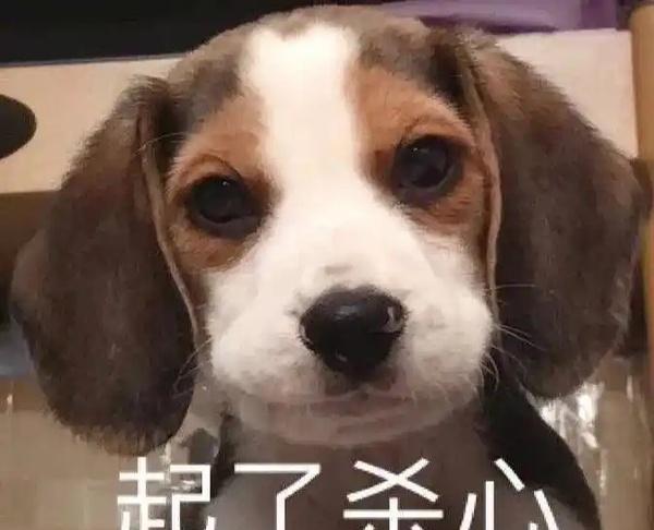 养一个能炒菜的厨师团队是很贵，我朋友做烧烤，就请了一个厨师，那个厨师的工资800