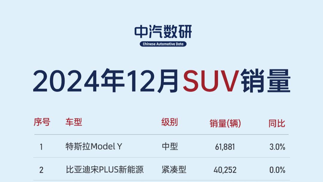 2024年12月SUV销量TOP200