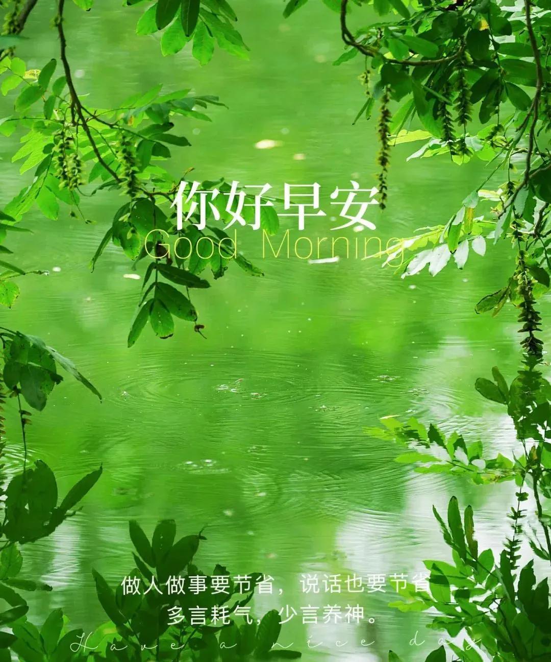 《圈友箴言》圈小尘难染，交深意自澄。浮云皆过眼，素志许寒藤。沐日襟怀朗，听