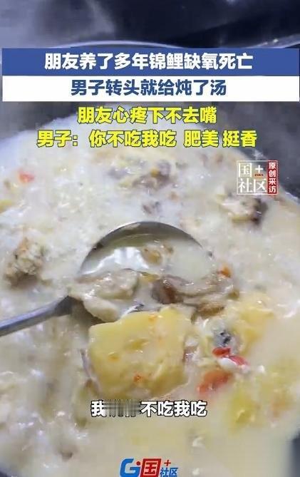 5月8日，山东滕州，一男子精心养了好几年的巨型锦鲤，因缺氧不幸离世。本来这桩憾