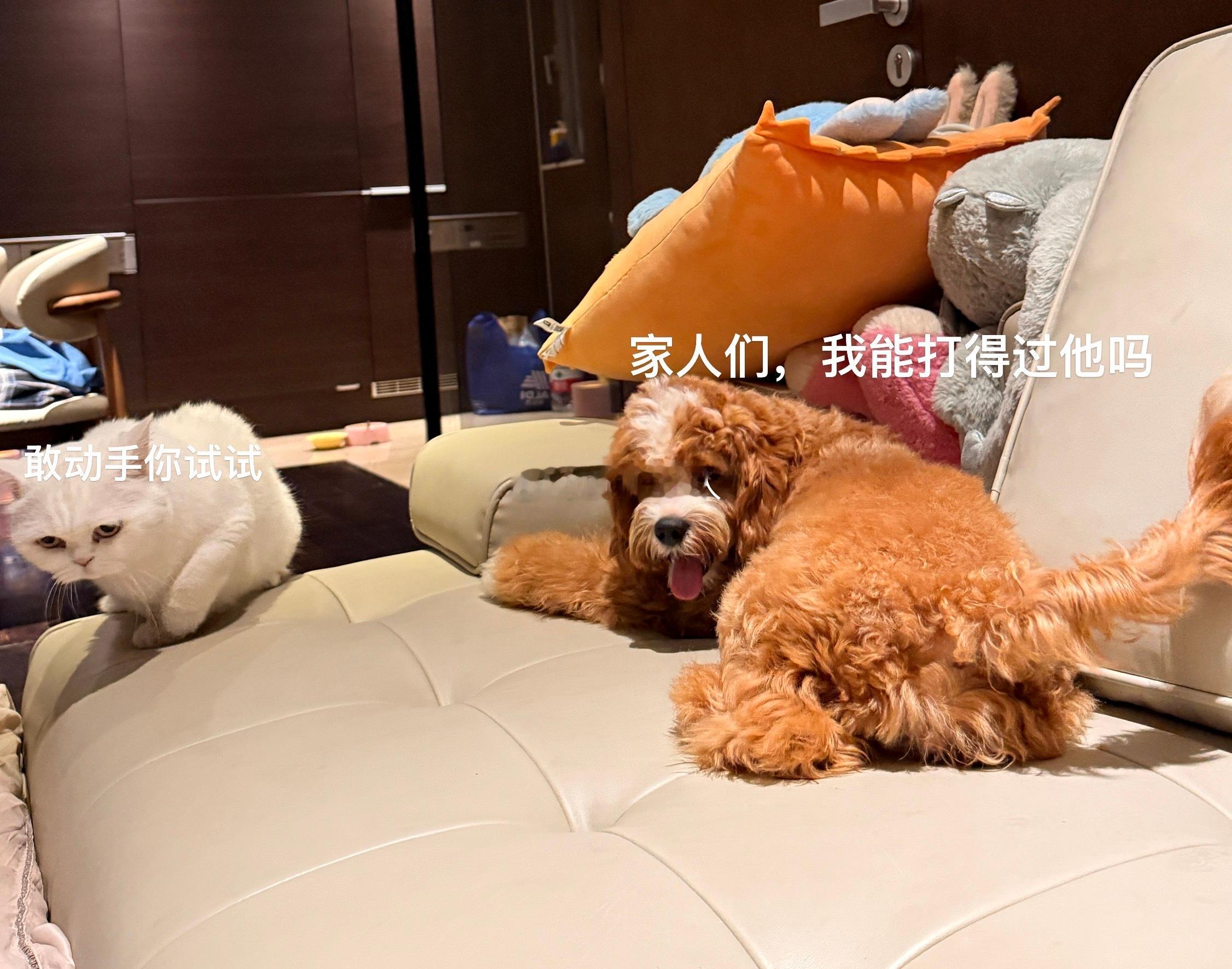 这么猥琐的角度也是被我拍到了​​​