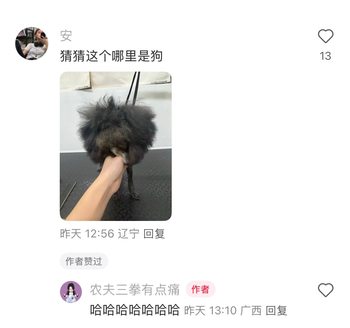 和毛毯完美融合的摇粒绒小狗