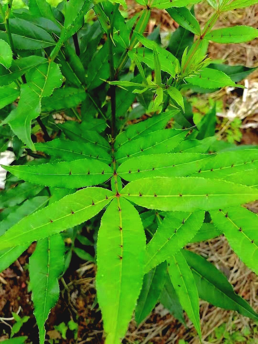 万物复苏的时候，就是春天最优美的时候，于是我们看到了那些花花草草