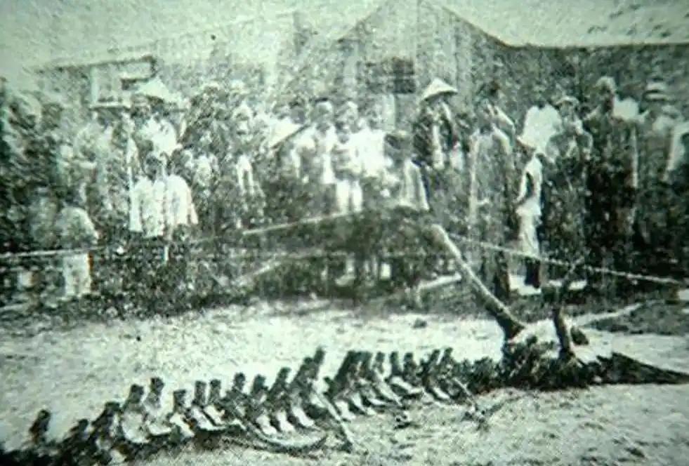 《契丹国志》记载了这样的一件事情：辽太祖阿保机居毡帐中，晨起，见黑龙长十余丈，蜿