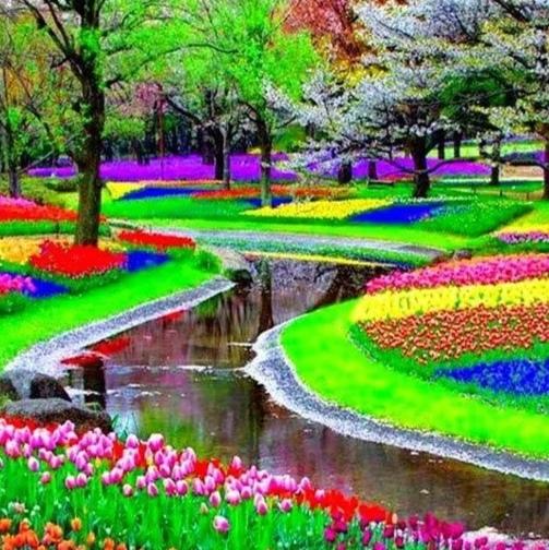 赏花观景：花间路看图说话：春光烂漫花艳娇徐风慢吹馨香飘繁花夹道春色美花