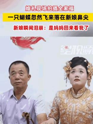 这一幕，连科学都解释不了！山东，婚礼当天，新娘出门前正和爸爸拍合照。突然，一只蝴