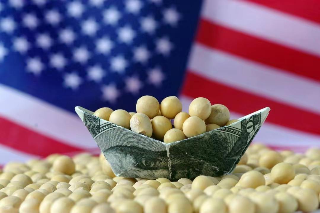 美国对华大豆出口归零，特朗普称愿降低关税，但中国要答应三个条件特朗普这次真玩