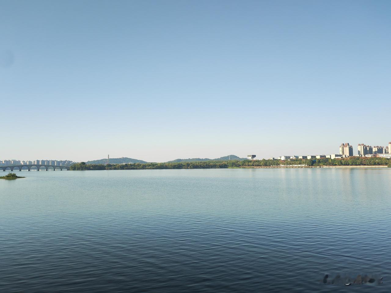 青山绿水，城市繁华。你出去走走了吗？城市自然生态城市水边风光城市生态宜居