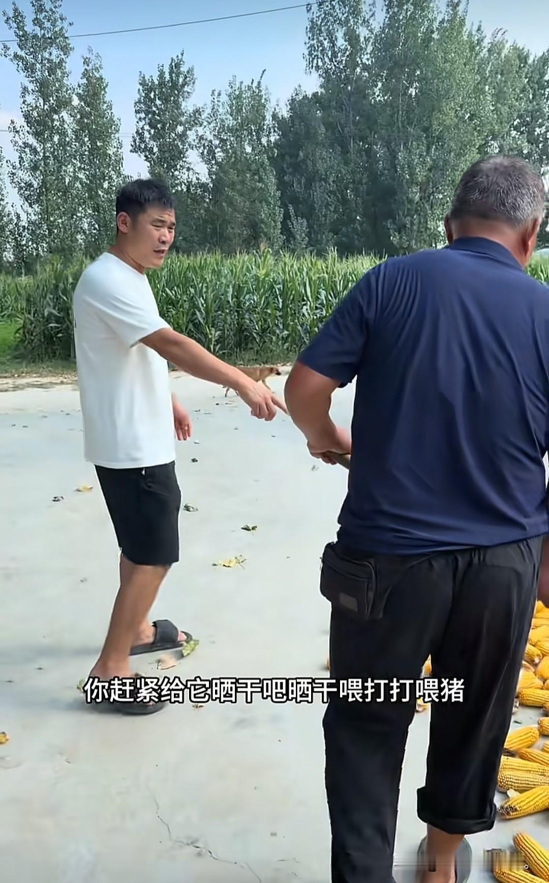 小故事！如今，趁李佳不在家，半熟又开始当起总指挥了。这回他在家折腾起