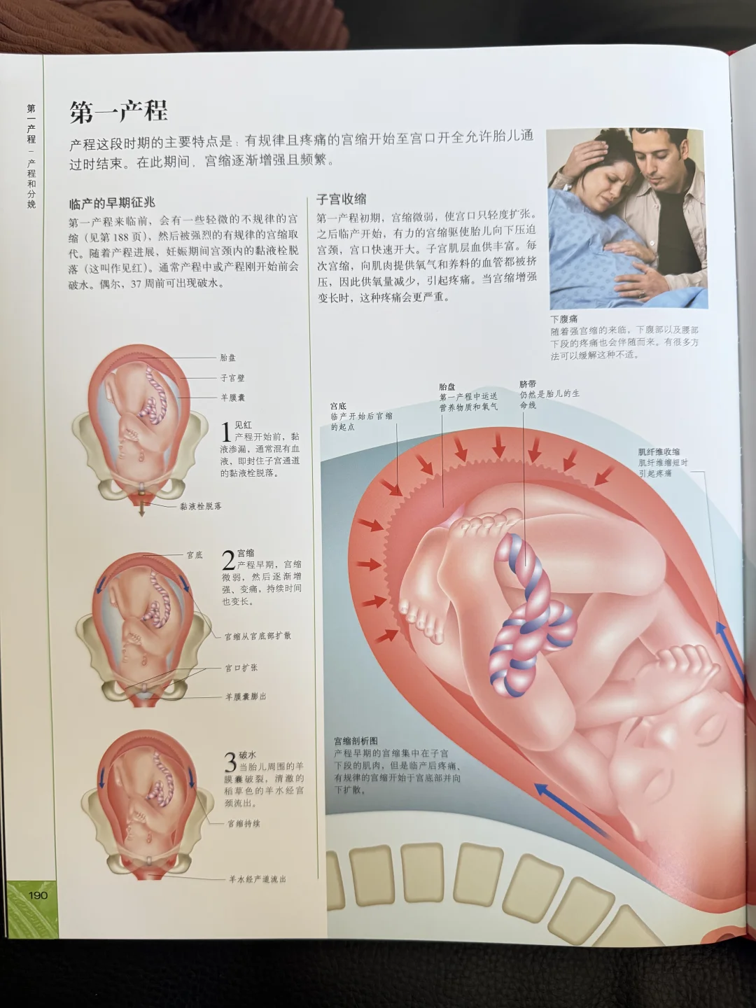 产妇🤰🏻生产全的过程－超详细🥰准妈妈提前