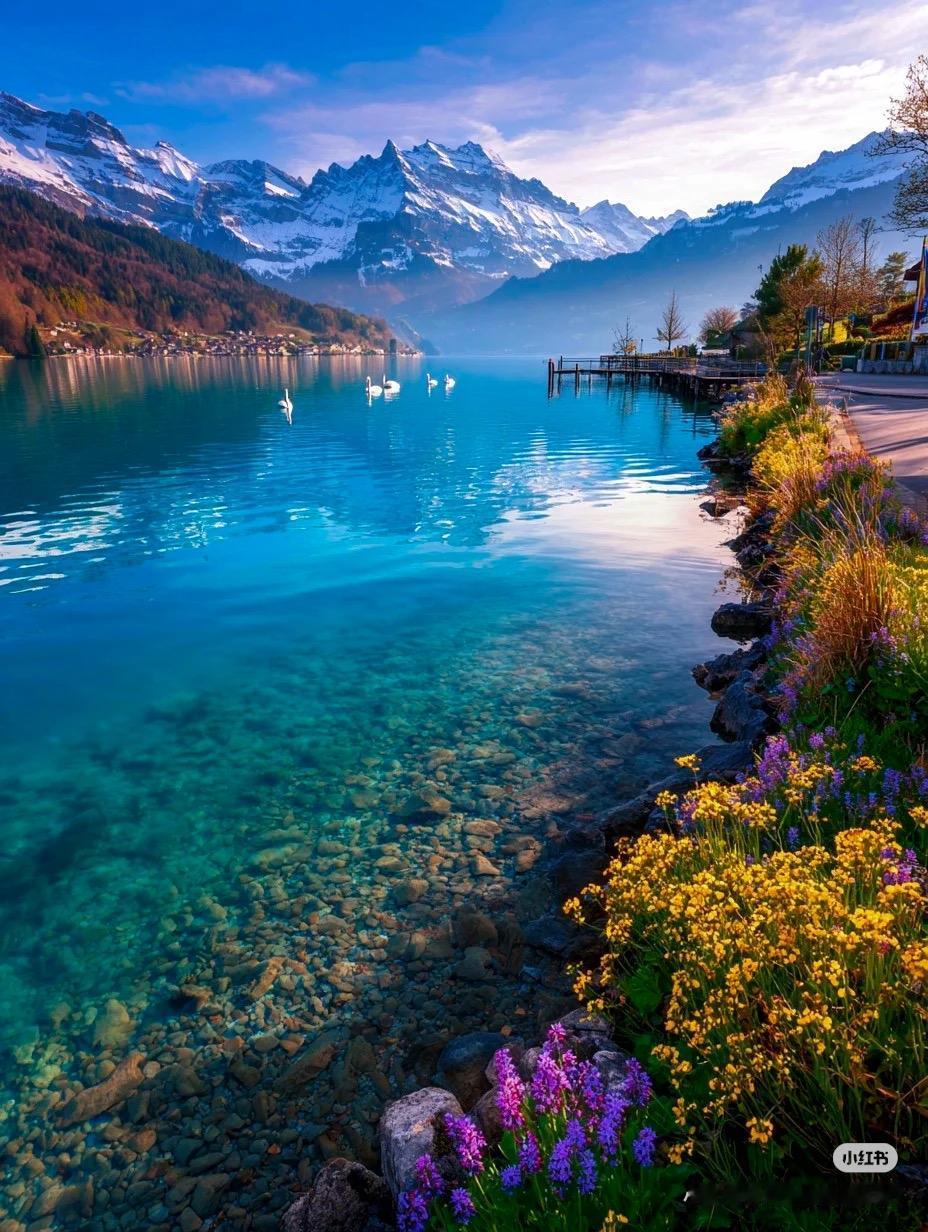 想看看你们最好看的一张壁纸