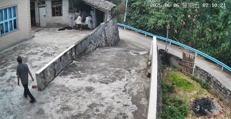 泪目！父亲去世一年，不知情老友大清早提排骨来看望，女儿打开监控泪目