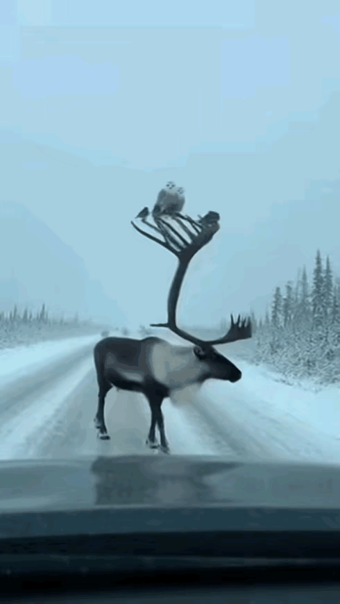 王铎：在道路上卖东西的