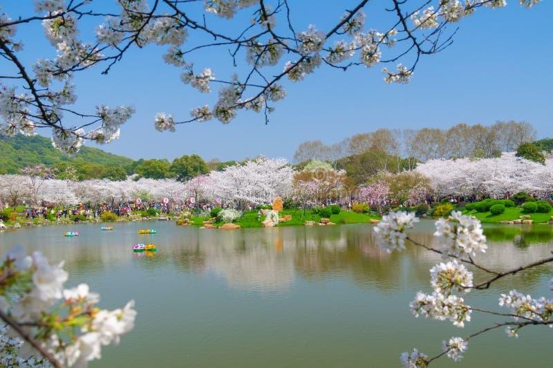 春日生活打卡季🌷风是软的，阳光是暖的，连空气都带着温柔的味道。放慢脚步