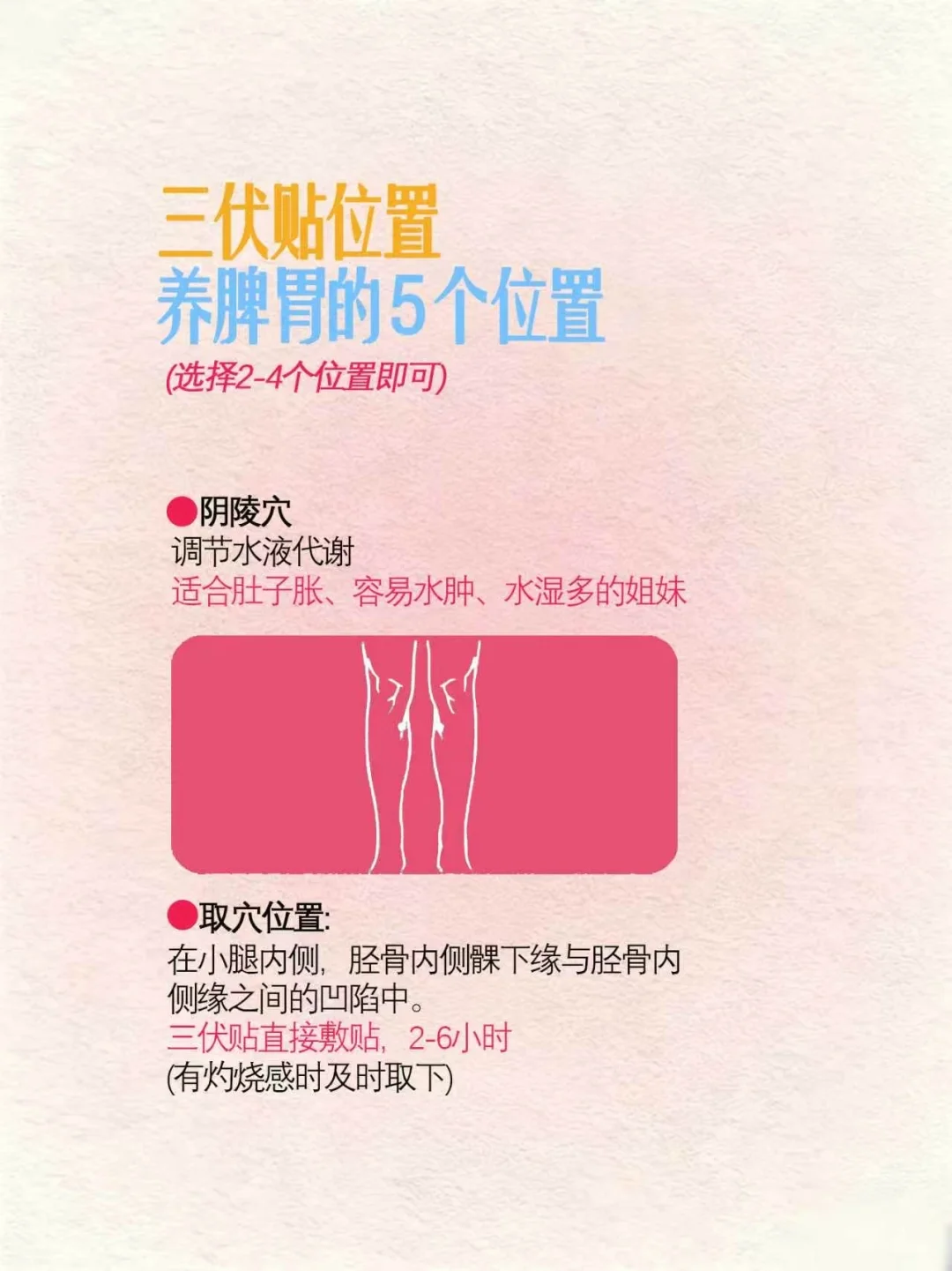 三伏贴，别瞎贴，位置位置位置。养脾胃5个王炸