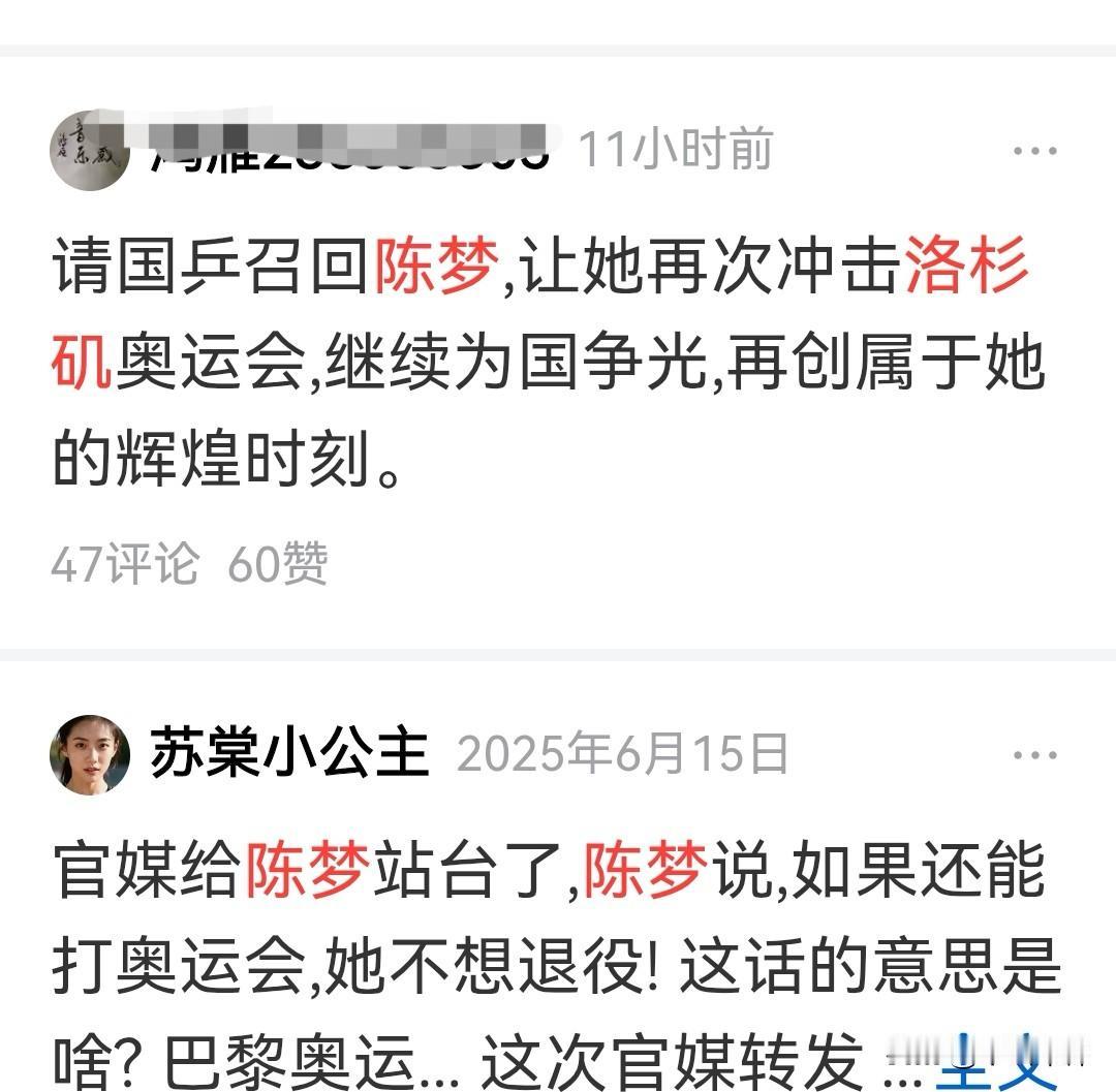 你支持让陈梦回归国乒，再打洛杉矶奥运会吗？看到有网友建议，让陈梦重回国乒，代表国