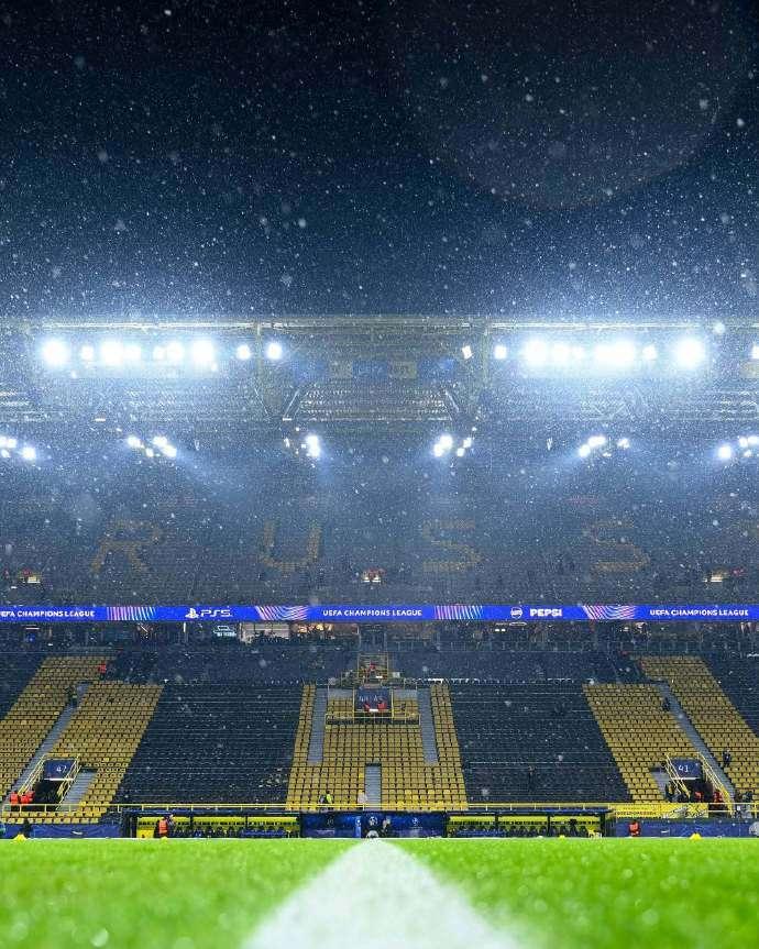 橡树就想小敲小打。说实话，就意甲这包装能力，大投入也很难出效果，比如本赛季的科莫