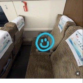 最近，一位网友在社交平台分享的乘车经历引发了热议——她提前购买了广州南至茂名的高