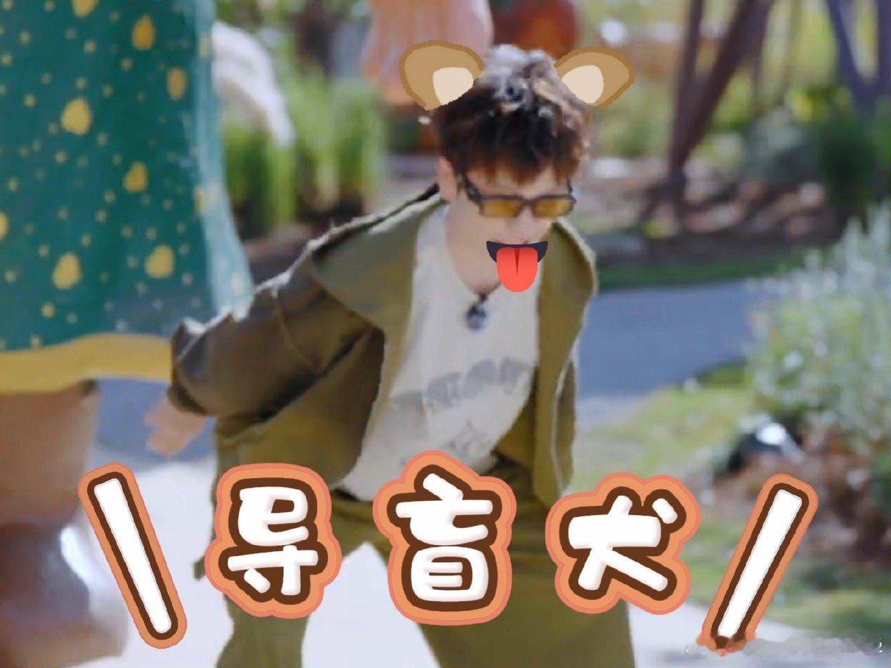 王栎鑫一听苏醒需要小狗就来劲了谁被王栎鑫这波操作笑到？财神装置要帮手，一听说苏