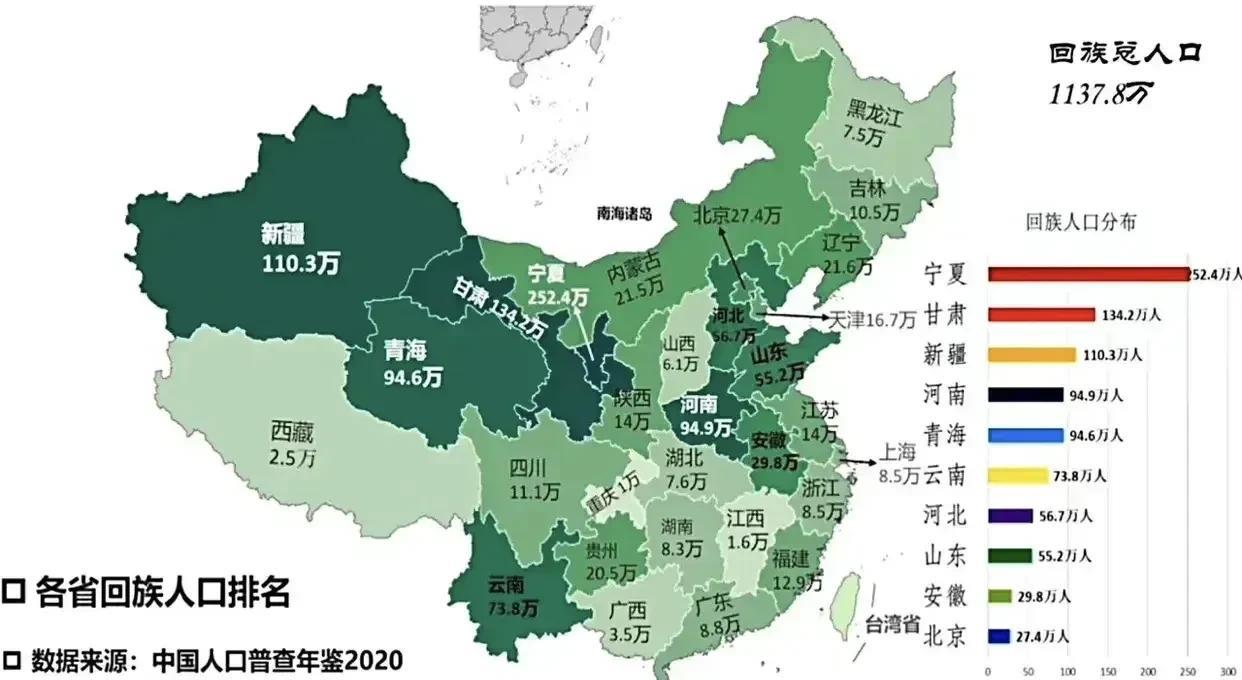 一直以为只有宁夏、青海、新疆才有回族。没想到这个多省都有回族人。河南的回族接近
