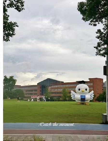 顶不住了！宁波大学留学生专属招聘会一事，迫于舆论压力，事情发酵后校方给出的解
