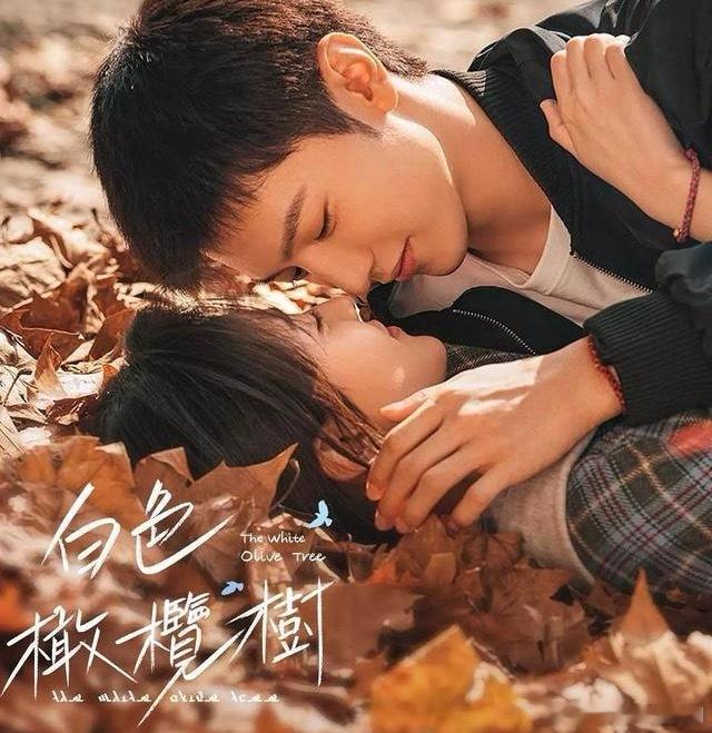 必看！8部2025年高口碑“都市爱情剧”，带你邂逅浪漫和感动！一.《白色橄榄树》