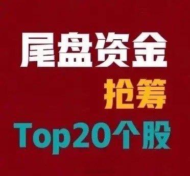 4月10日A股尾盘30分钟抢筹前20（主力净流入，亿元）1.立讯精密：24.