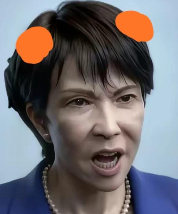 快报！快报日本突然宣布了12月15日，日本东京都政府发布消息称，旅居日本东