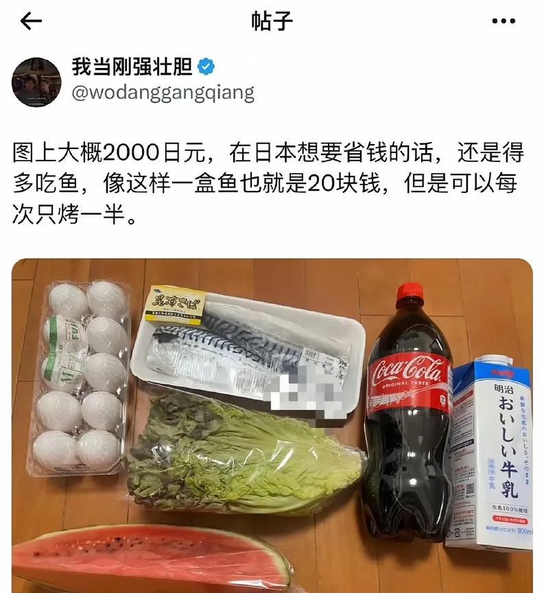在小日子这些东西花了100人民币，在国内大家觉得这些东西大概需要多少钱？