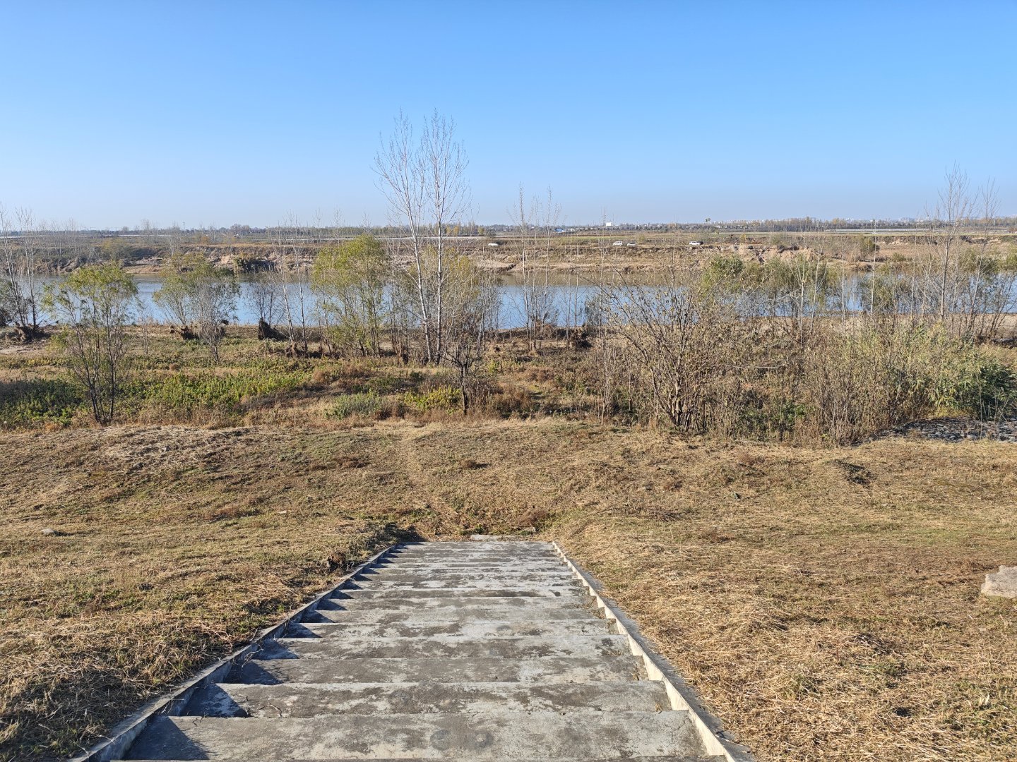渭河这两年没有臭味了。兴平·渭河十里荷香湿地