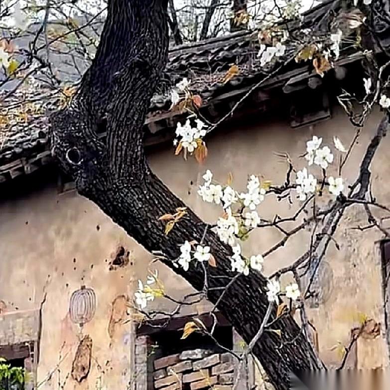 你发来的信息，我看到了。一个字都没回。你是不是觉得我特绝情，特冷漠？但你知