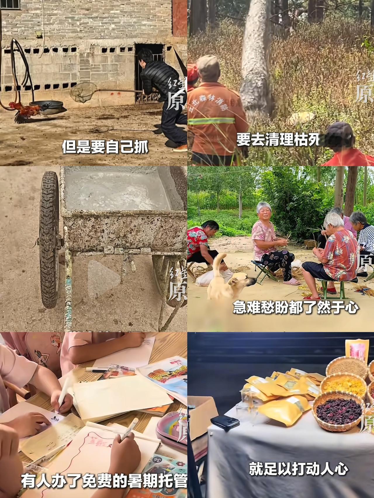 “太胆大了”！这些00后村支书，明明工资不高，却偏要去村民家“蹭饭”，也明明没啥