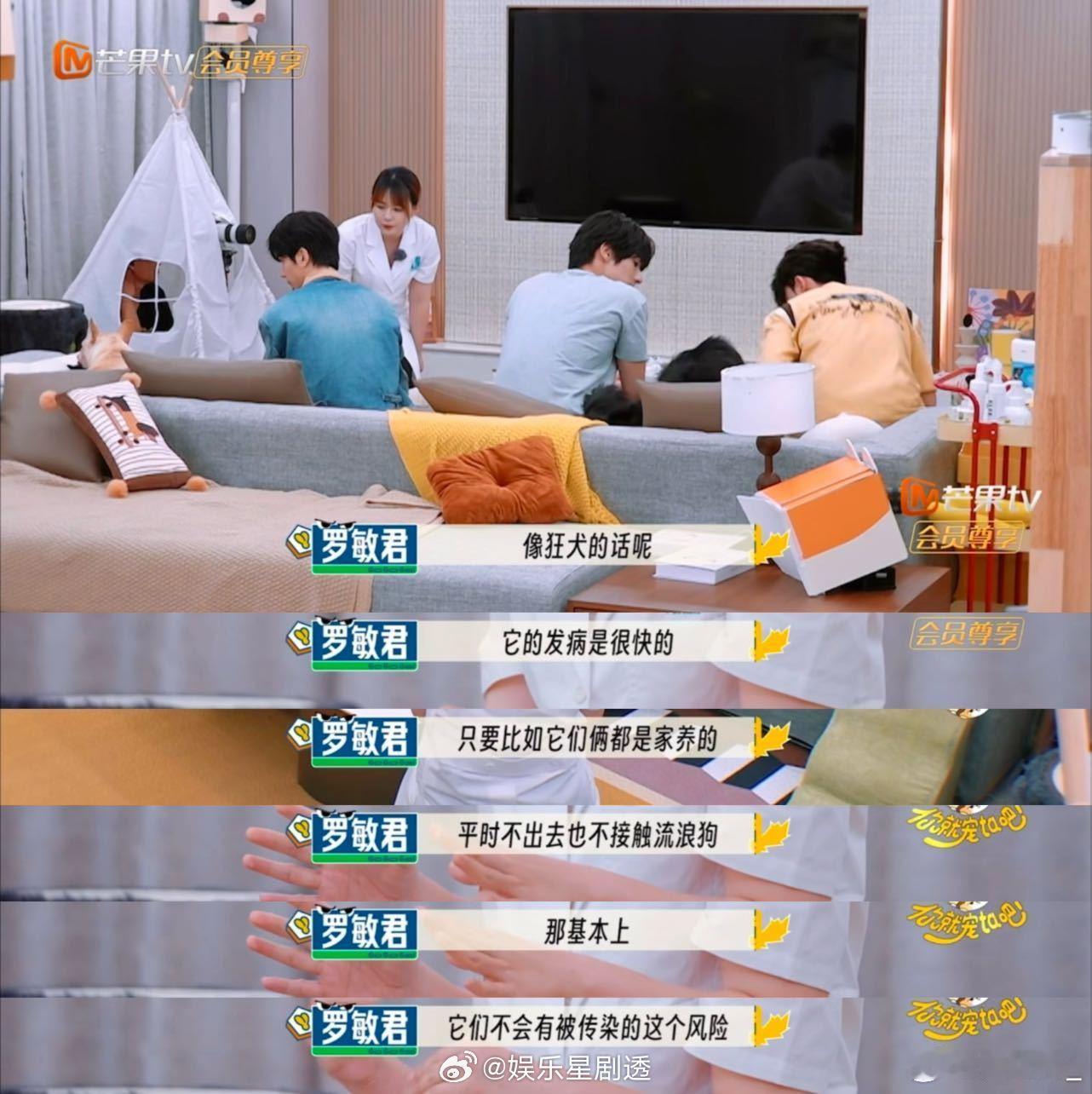 狗咬狗需要打狂犬疫苗吗被《你就宠ta吧》里的这个问题问住了？中国小动物保护协会