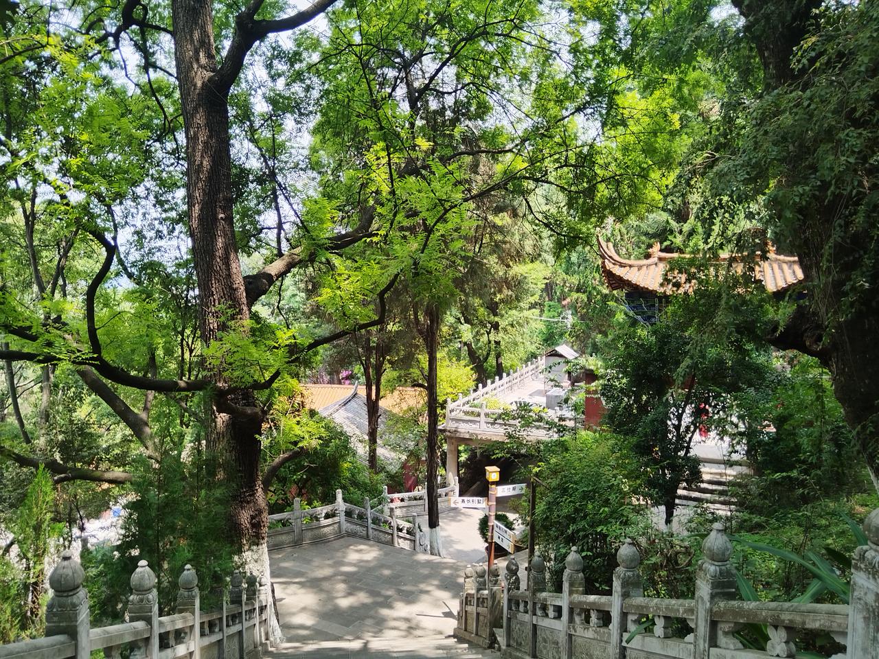 美丽的风景