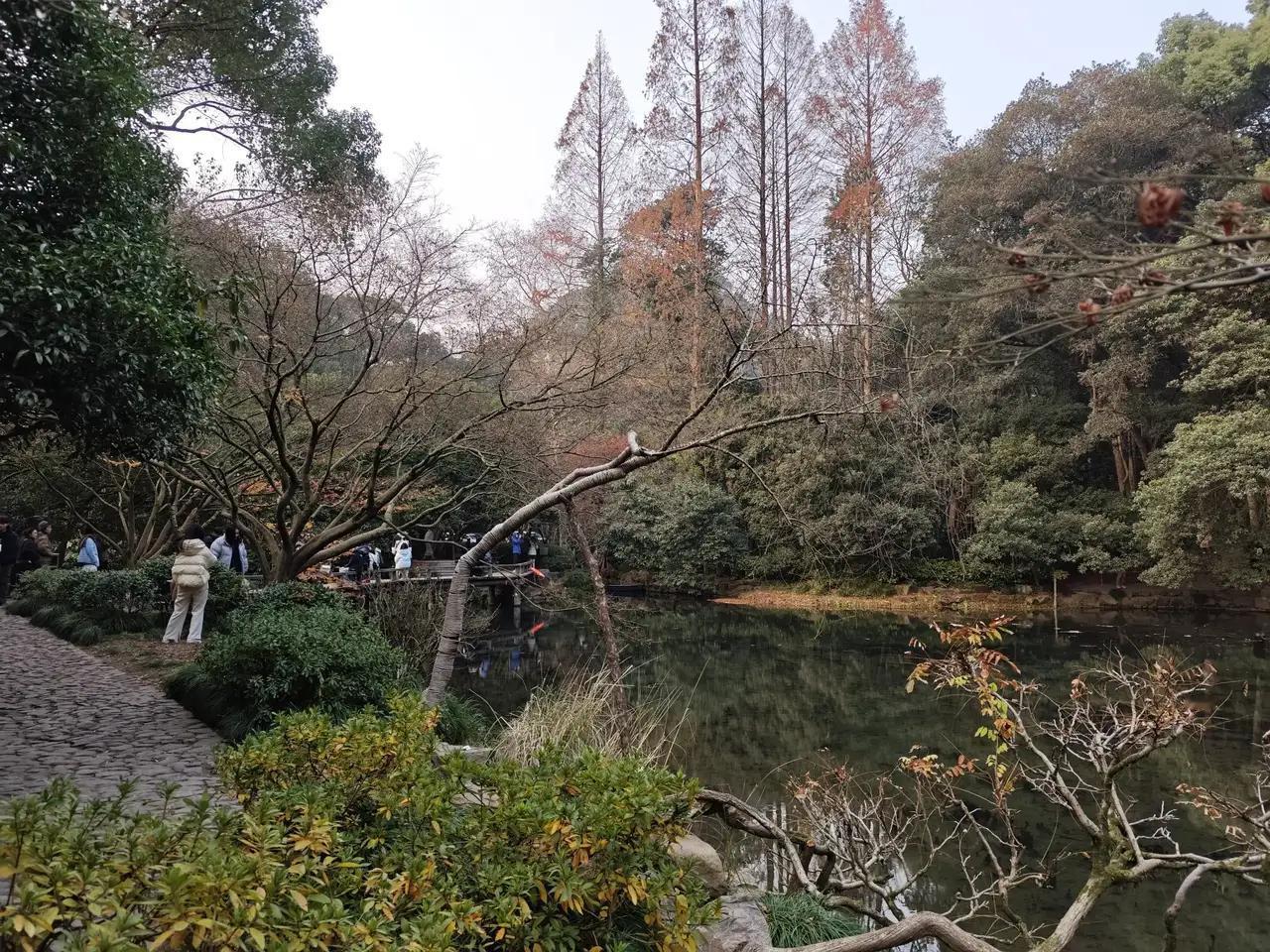杭州九溪十八涧风景名扬四海，而九溪十八涧的冬季不同于夏季，有着别样的美，是安静的