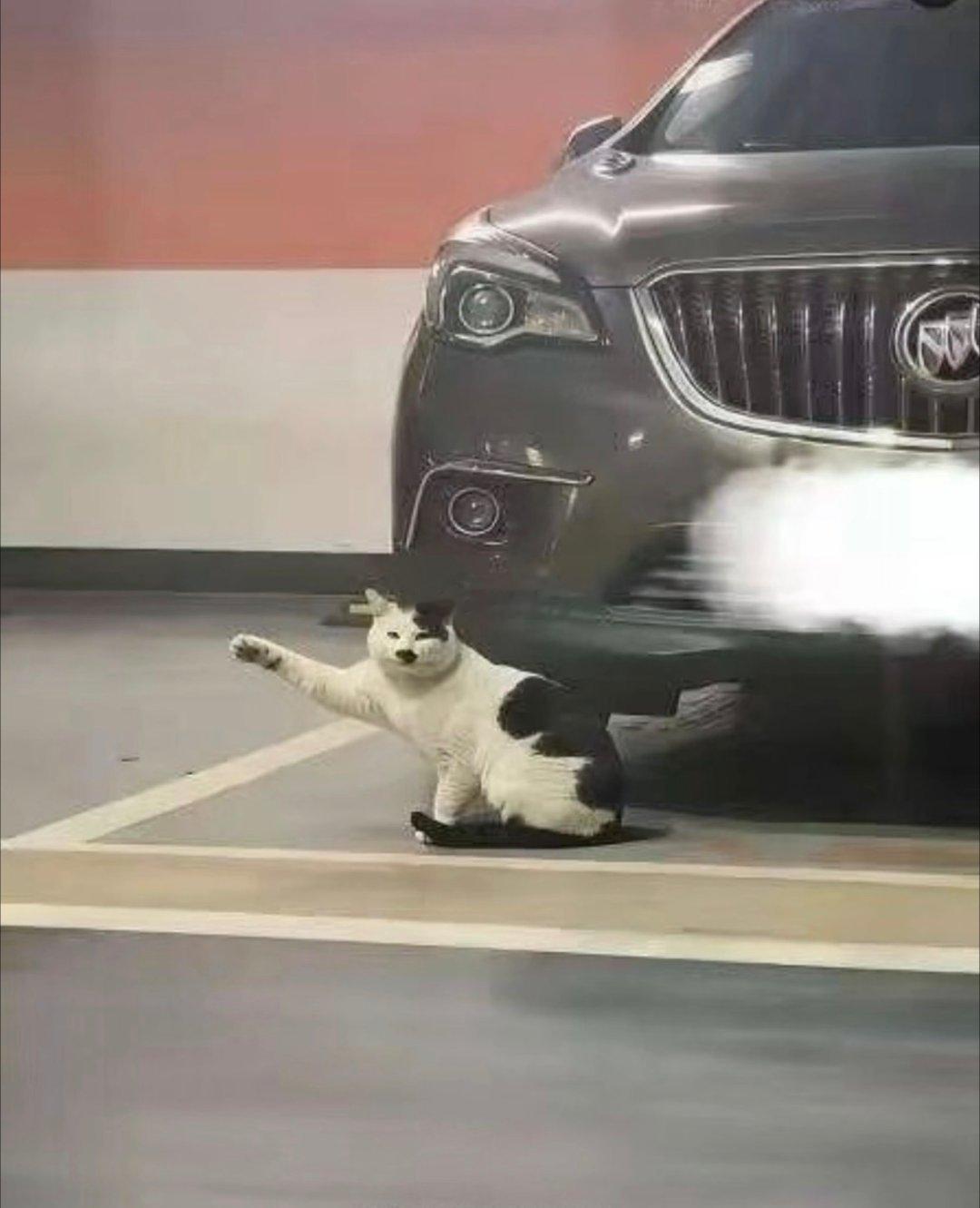 人啊，能否载我走呢