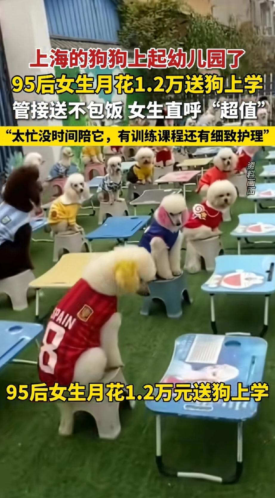 我的认知颠了！每天起早贪黑，上班受气、下班赶路，辛辛苦苦熬满一个月，到手也