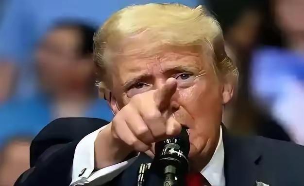 此文纯属虚构故事，请勿当真。波斯猫，你给我听好了，不是我不想罢手，是巴巴羊劝着