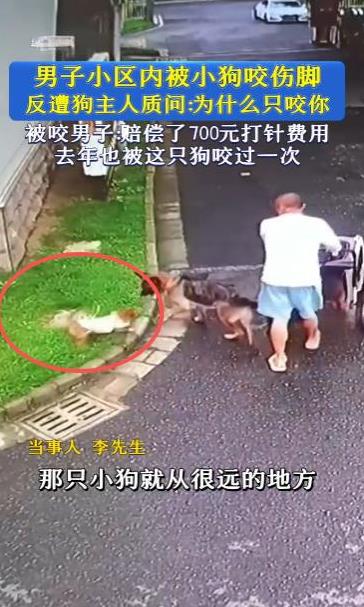 “太缺德了！”10月16日，安徽马鞍山，一男子被邻居未栓绳的小狗咬伤两次，他质问