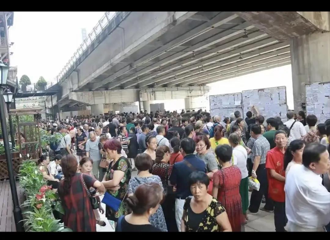 大龄剩女真相：脱贫还是脱单？揭开恶意标签下的女性选择困境