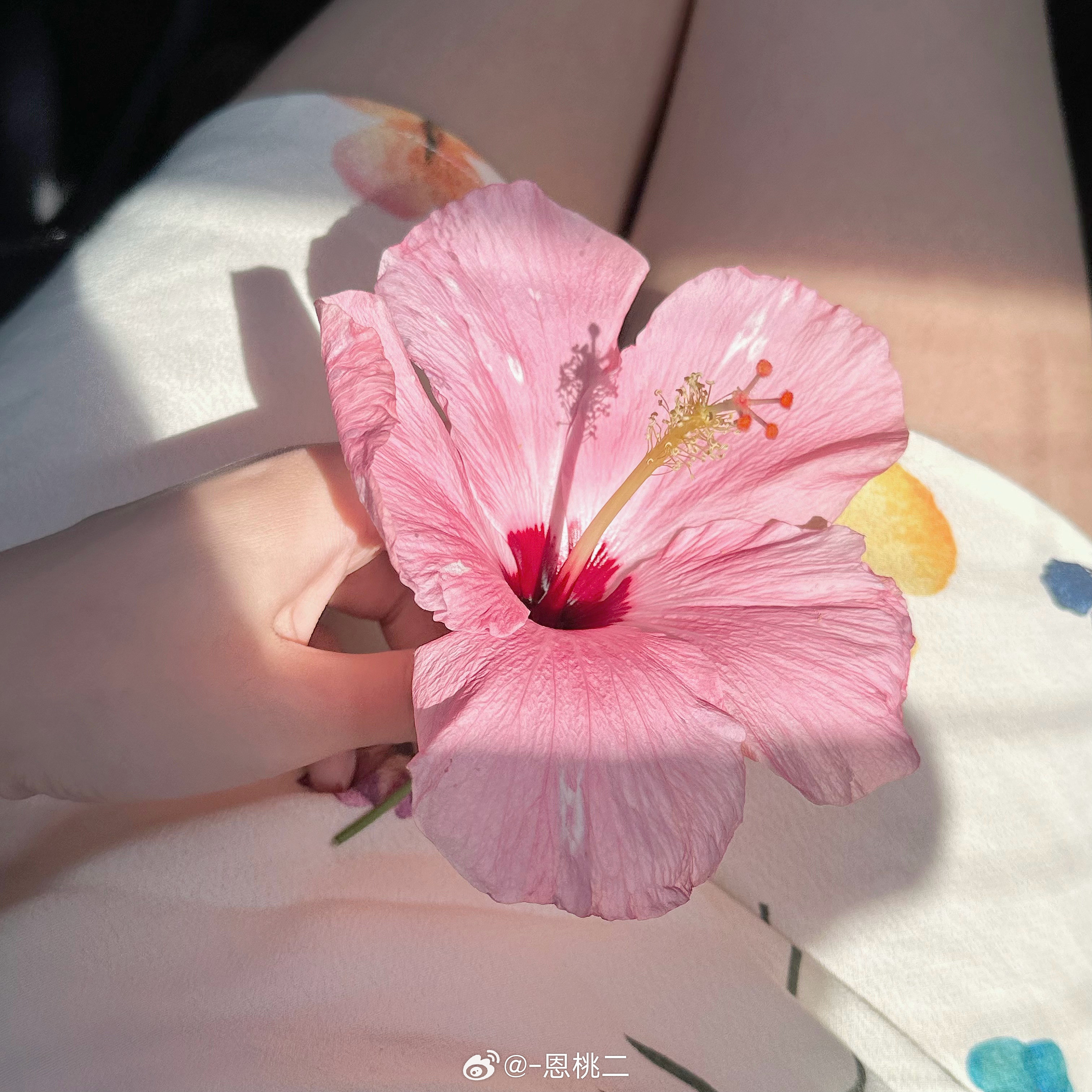 海边​​​