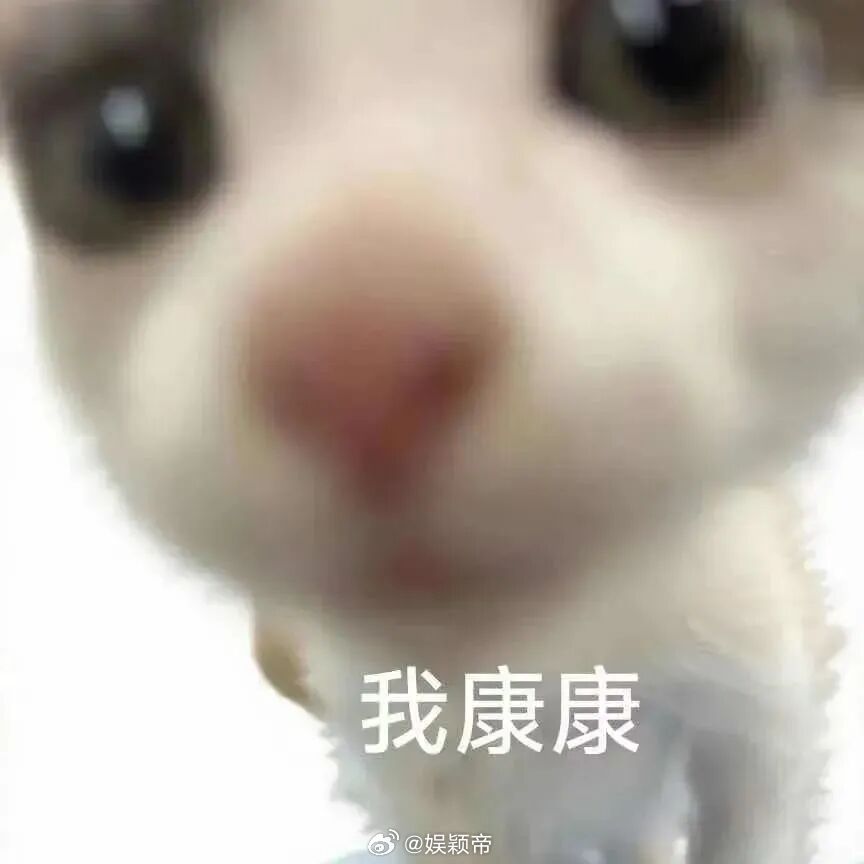 第一次被一个柜子惊艳到咖啡馆的展示柜，是弧形的，像一弯月亮嵌在墙上，里面摆着蛋