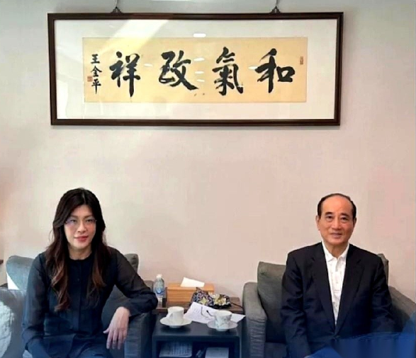 看到王金平那几句话，真是一下子点到死穴了。他说，别老向外找原因，国民党之所以走