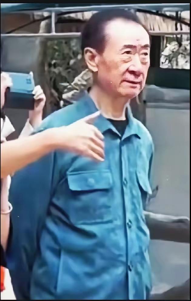 王健林悄摸去贵州罗甸考察的照片一出，真的看哭不少人！画面里他站在那听文旅介绍，一