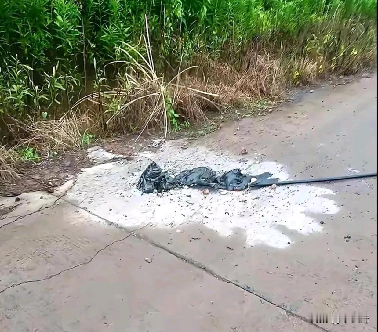 高压电的威力真是吓人啊，水泥都融化了