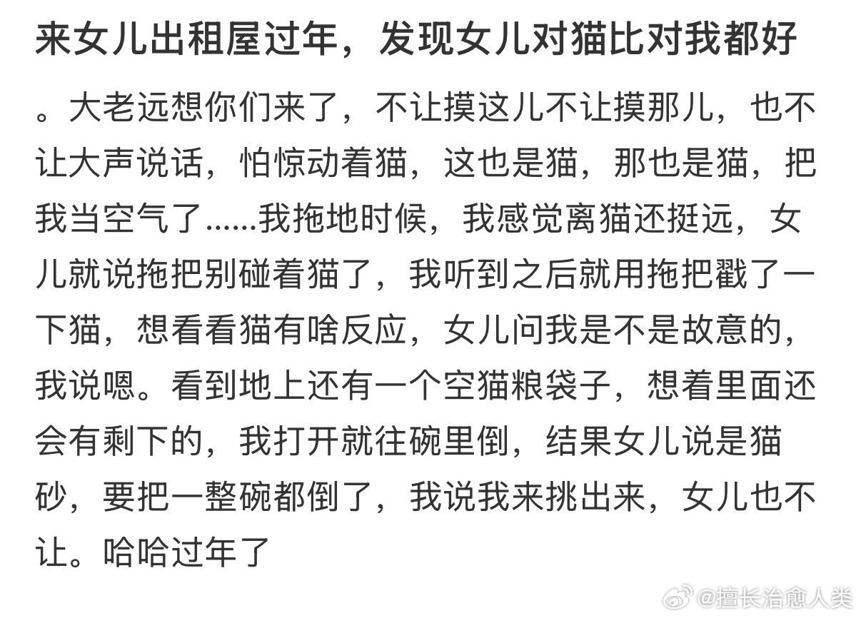 来女儿出租屋过年，发现女儿对猫比对我都好