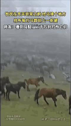 看到这个，不用可怜她们。