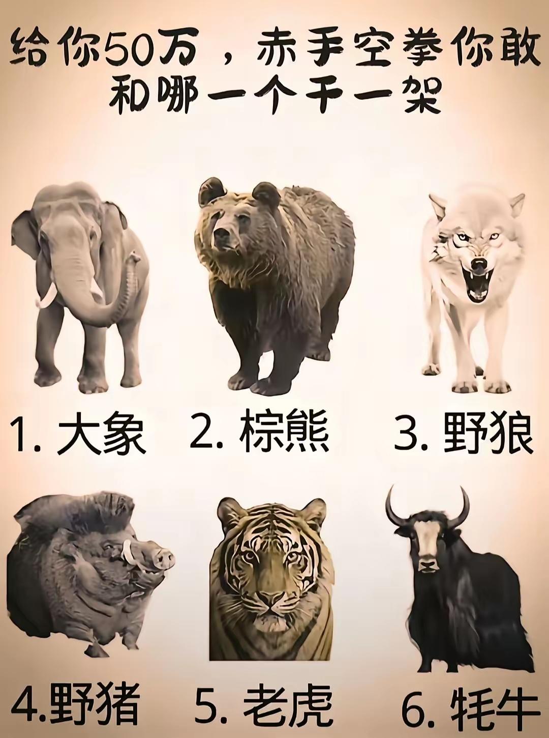 我是富人，你是穷人，就像看你表演取乐……说白了，就是罗马斗收场，给你50万